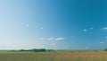 Cows Grazing In Pasture Under Big Blue Sky. Group Of Cows Grazing In Pasture.