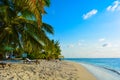 Real tropical dream: a holiday resort on the beach, sunbeds on the fine sand under the shadow of green palm trees and turquoise se Royalty Free Stock Photo