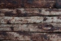 Real vintage wood background with bark and nails Royalty Free Stock Photo