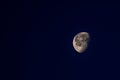 Real waning gibbous moon at northern hemisphere in the early morning. Royalty Free Stock Photo