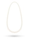 Real white pearl necklace vector on a white background