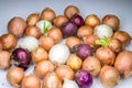 Real white red and gold onions group