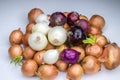 Real white red and gold onions group