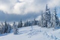 Real winter in the mountain wilderness