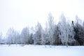 A real winter with strong frosts and huge snow drifts. Snow forest on the shore of the pond, landscape Park tree branches