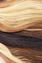 Real woman hair texture. Human hair weft, Dry hair with silky volumes. Real european human hair wallpaper texture. Brown blond dar