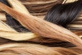Real woman hair texture. Human hair weft, dry hair with silky volumes. Real european human hair wallpaper texture. Brown