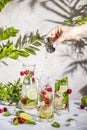 Real woman preparing Cherry Mojito cocktail in highball glass or mocktails surrounded by ingredients and bar tools on light gray Royalty Free Stock Photo