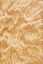 Real wood grain texture Royalty Free Stock Photo