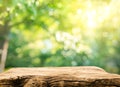 Real wood table top texture on blur leaf tree garden background.For create product display