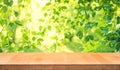 Real wood table top texture on leaf tree garden background