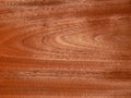 Real wood veneer American walnut. Material for interior and furniture