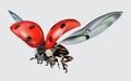 Realictic flying ladybug isolated on white background. Macro image of an insect. Vector illustration