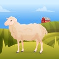 Realisic cute sheep standing on the gras with farm