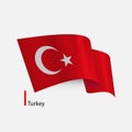 realisitc vector flag of Turkey