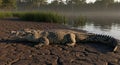 A realistic AI-generated image of a large crocodile (Crocodylus spp.) basking on a muddy riverbank. Royalty Free Stock Photo