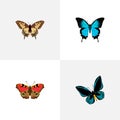 Realistic American Painted Lady, Demophoon, Papilio Ulysses And Other Vector Elements.