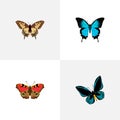 Realistic American Painted Lady, Demophoon, Papilio Ulysses And Other Vector Elements. Royalty Free Stock Photo