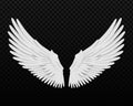Realistic angel wings Royalty Free Stock Photo