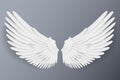 Realistic angel wings Royalty Free Stock Photo
