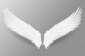 Realistic angel wings Royalty Free Stock Photo