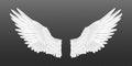 Realistic angel wings. White isolated pair of falcon wings, 3D bird wings design template. Vector concept