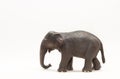Realistic animal toy, elephant