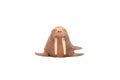 Realistic animal toy, walrus