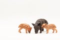 Realistic animal toys, wild boar family