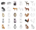 Realistic animals cartoon,outline icons in set collection for design. Wild and domestic animals vector symbol stock web Royalty Free Stock Photo