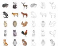 Realistic animals cartoon,outline icons in set collection for design. Wild and domestic animals vector symbol stock web Royalty Free Stock Photo