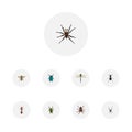 Realistic Ant, Spinner, Wasp And Other Vector Elements. Set Of Insect Realistic Symbols Also Includes Emmet, Green