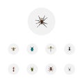 Realistic Ant, Spinner, Wasp And Other Vector Elements. Set Of Insect Realistic Symbols Also Includes Emmet, Green