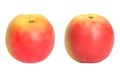 Realistic apples set.