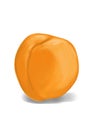 Realistic apricot illustration, front of one fruit