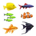 Realistic aquarium fishes. Golden colored swimming fishes exotic aquarium animals decent vector pictures set isolated on