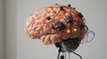 A realistic artificial brain model connected to wires and microchips, symbolizing neuroscience, AI, brain-computer Royalty Free Stock Photo