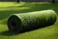 Realistic Artificial Rolled Green Grass