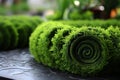 Realistic Artificial Rolled Green Grass