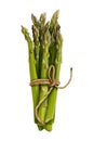 Realistic Asparagus Spears