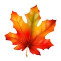 Realistic autumn leaves. Fall orange wood foliage maple, bright red and orange colors fallen leaf. Canadian tree, 3d Royalty Free Stock Photo