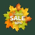 realistic autumn sale vector design