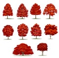 Realistic autumn trees pack. Isolated vector trees on white back Royalty Free Stock Photo