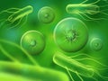 Realistic bacteria and cells. Green microscopic biology or micro nature organisms. Abstract biological cell background Royalty Free Stock Photo