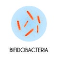 Realistic Bacteria Illustration Royalty Free Stock Photo