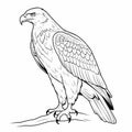 Realistic Bald Eagle Coloring Pages For Children\'s Coloring Book