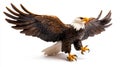 Realistic Bald Eagle Figurine with Outstretched Wings Isolated on White Background Royalty Free Stock Photo