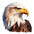 Realistic Bald Eagle Illustration With Vibrant Colors