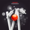 Realistic ball hit wicket stumps on black bokeh background. Royalty Free Stock Photo