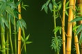 Realistic Bamboo Concept